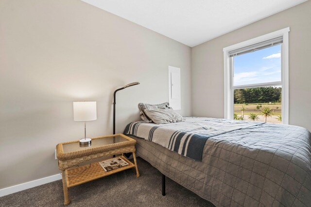 2835 Walton Rd, Kingsley, MI 49649 - bedroom with carpet floors and baseboards