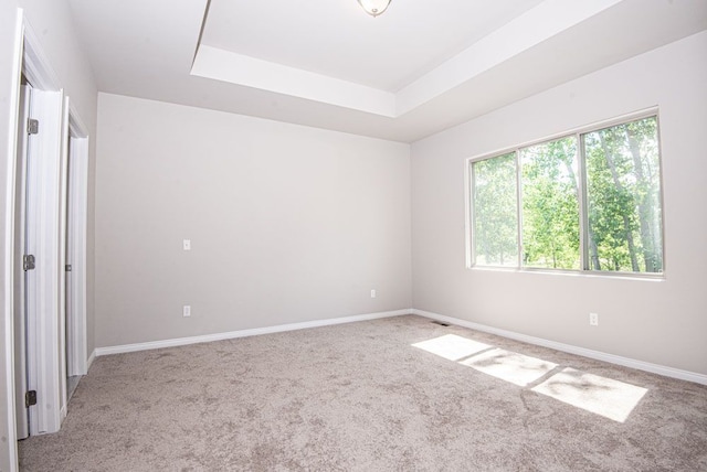 carpeted spare room featuring a tray ceiling