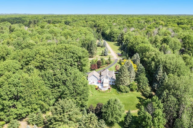 5925 Jagger Rd, Ludington, MI 49431 - bird's eye view of a forest
