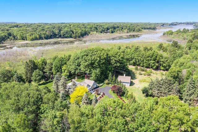 5925 Jagger Rd, Ludington, MI 49431 - bird's eye view of a large body of water