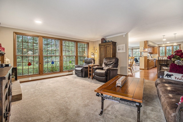 5925 Jagger Rd, Ludington, MI 49431 - living area with crown molding