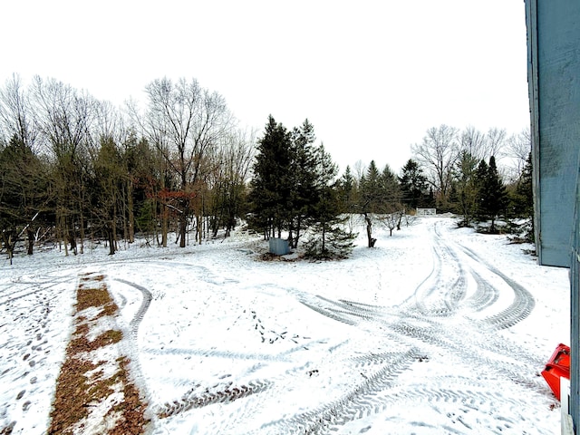 5925 Jagger Rd, Ludington, MI 49431 - view of yard covered in snow