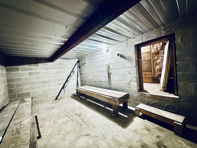5925 Jagger Rd, Ludington, MI 49431 - unfinished below grade area with concrete block wall