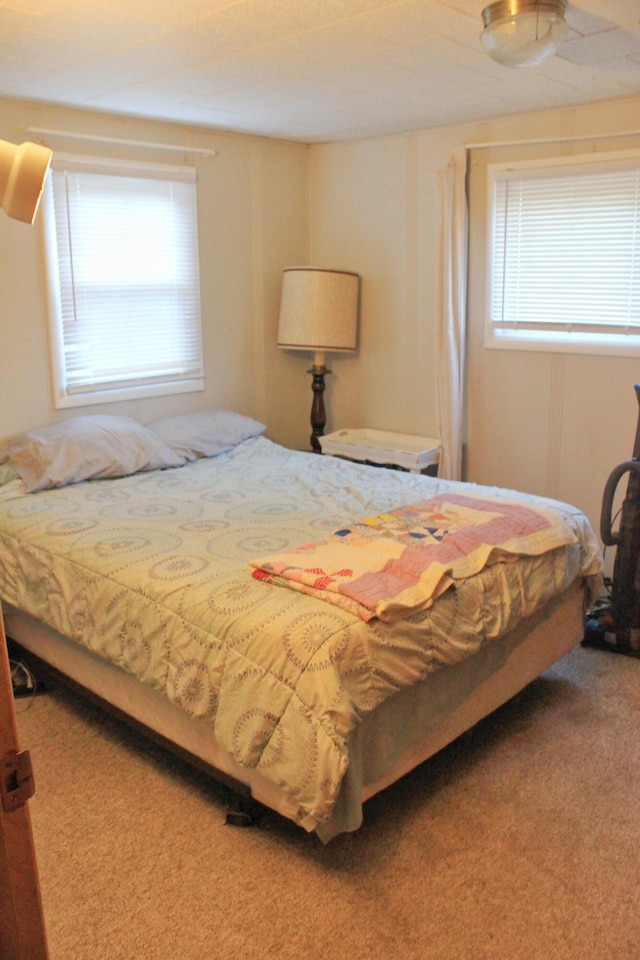 bedroom with carpet flooring