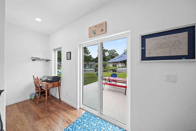 entryway featuring wood-type flooring