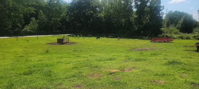 3150 Swaffer Rd, Millington, MI 48746 - view of green lawn