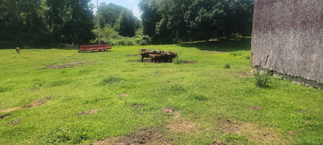 3150 Swaffer Rd, Millington, MI 48746 - view of yard