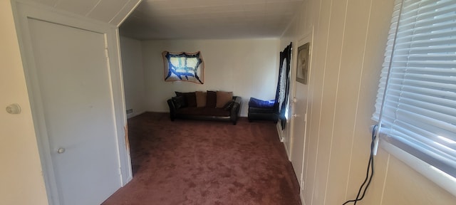 3150 Swaffer Rd, Millington, MI 48746 - hall with carpet floors