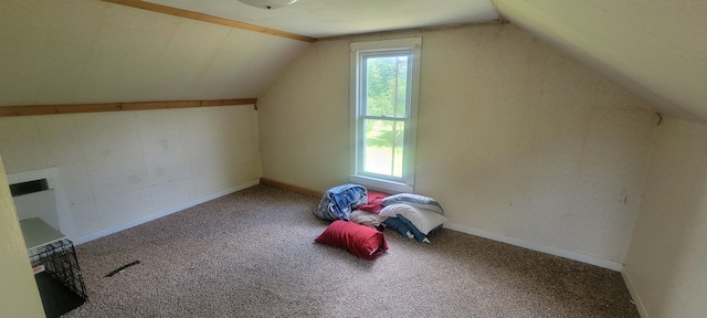 3150 Swaffer Rd, Millington, MI 48746 - bonus room featuring plenty of natural light, carpet, lofted ceiling, and baseboards