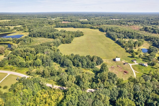 3150 Swaffer Rd, Millington, MI 48746 - view of property location featuring a heavily wooded area and a nearby body of water