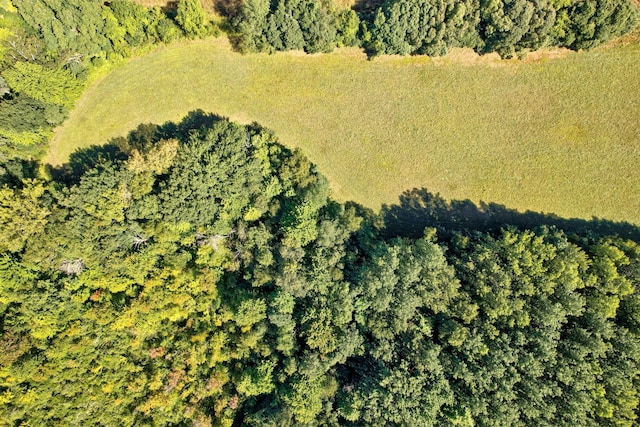 3150 Swaffer Rd, Millington, MI 48746 - aerial view of property's location