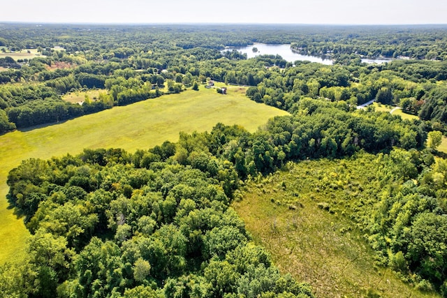3150 Swaffer Rd, Millington, MI 48746 - drone / aerial view of a forest