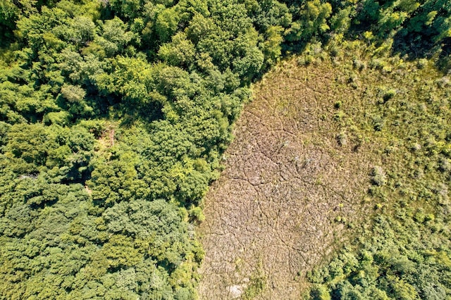 3150 Swaffer Rd, Millington, MI 48746 - view of property location
