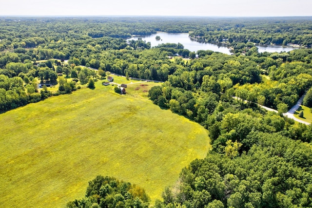 3150 Swaffer Rd, Millington, MI 48746 - aerial view of a nearby body of water and a forest