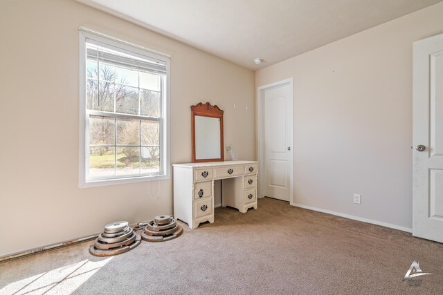 885 Buttonwood Dr, Middleville, MI 49333 - photo 32