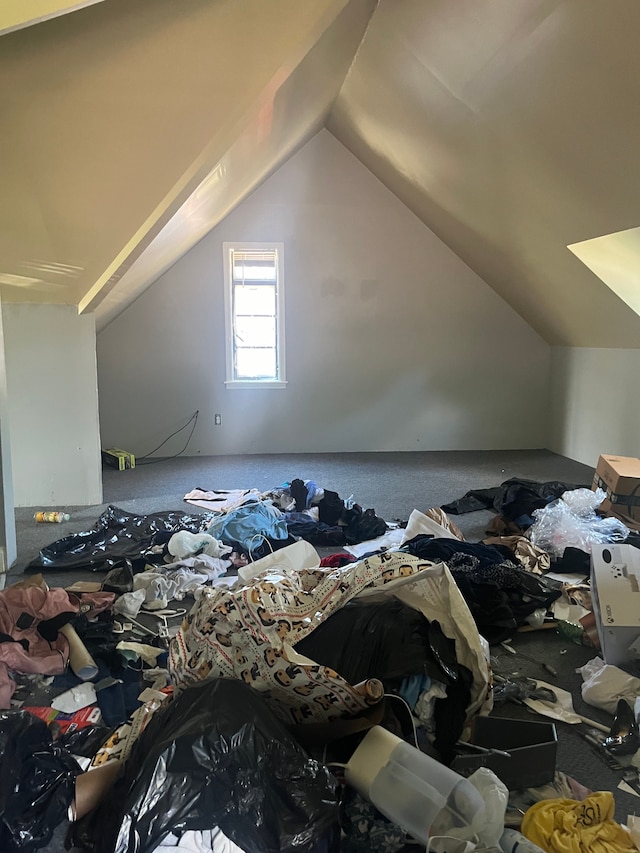 additional living space with carpet flooring and lofted ceiling