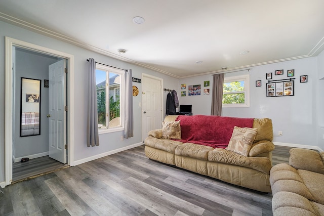 living room featuring hardwood / wood-style floors and ornamental molding