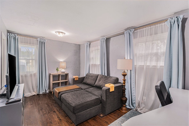 bedroom featuring dark hardwood / wood-style flooring