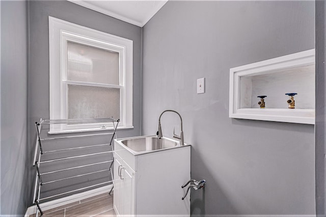 washroom featuring wood-type flooring and sink