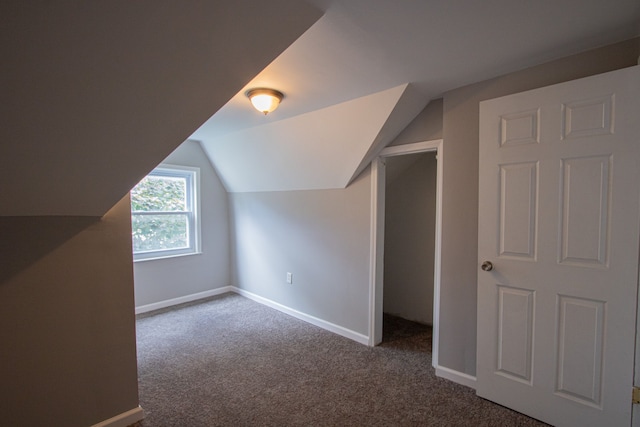 additional living space with dark colored carpet and lofted ceiling