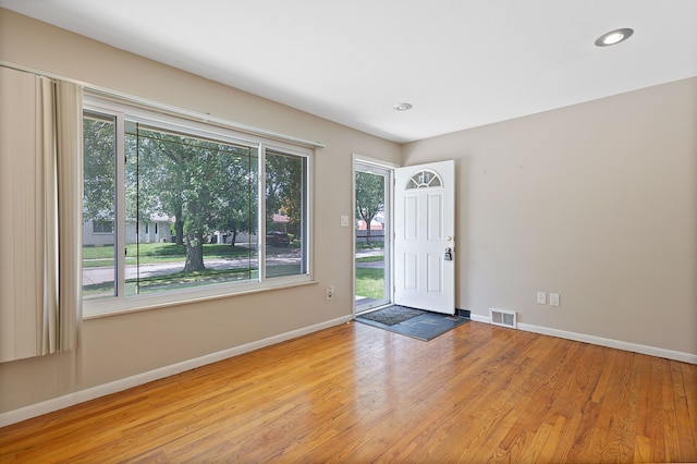 entryway featuring light hardwood / wood-style floors and plenty of natural light