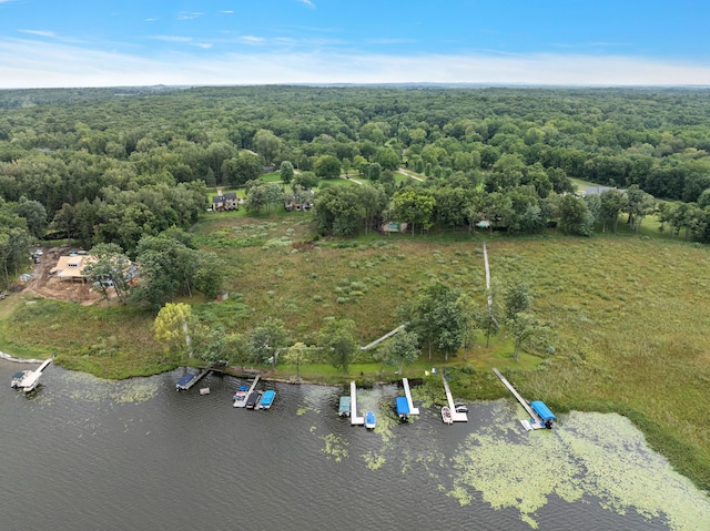 12120 Shaffer Rd, Davisburg, MI 48350 - aerial view of property's location with a large body of water and a heavily wooded area