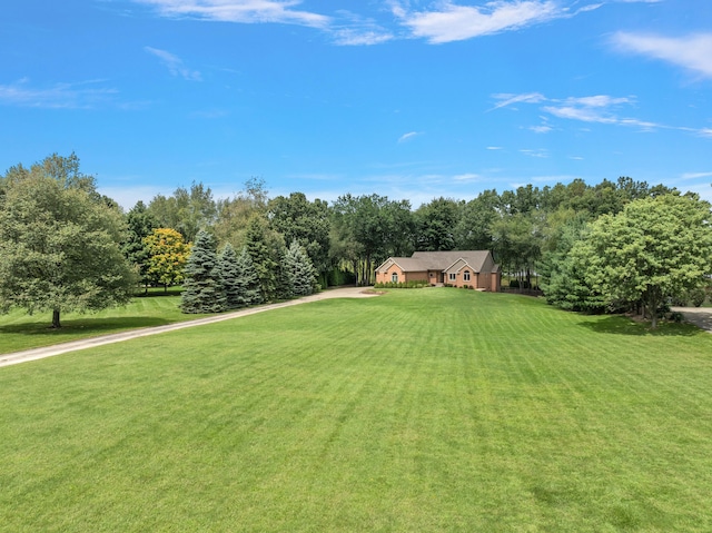 12120 Shaffer Rd, Davisburg, MI 48350 - view of green lawn with concrete driveway and a wooded view