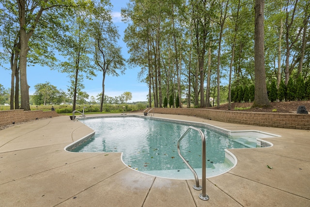 view of pool with a patio