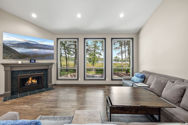 living room with a fireplace and dark hardwood / wood-style floors