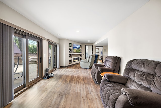 living room featuring hardwood / wood-style flooring