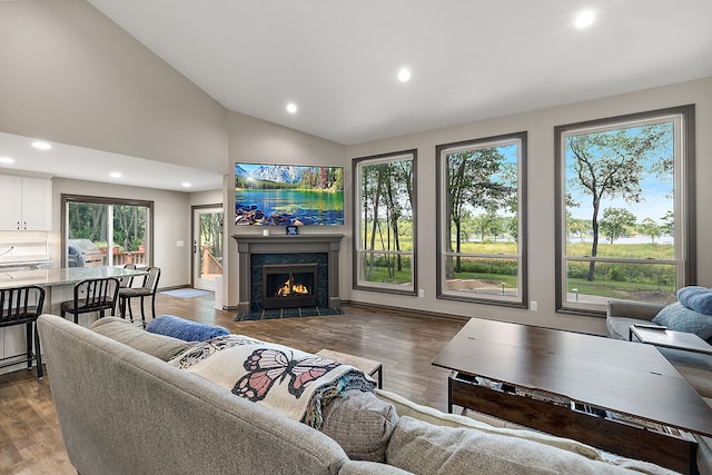 living room featuring dark wood-type flooring and high vaulted ceiling