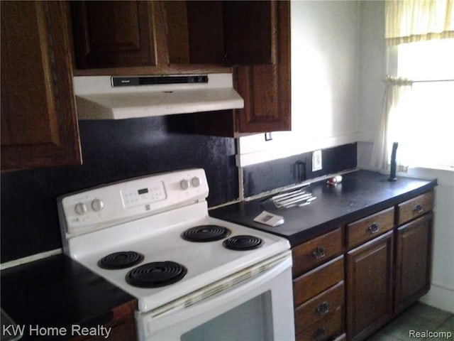 kitchen with dark brown cabinets, range hood, and electric stove