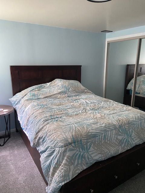 carpeted bedroom with a closet