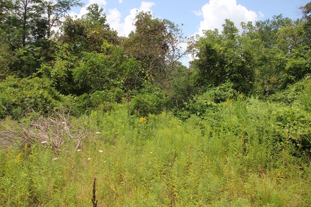 50741 N Ave, Macomb, MI 48042 - view of wooded area