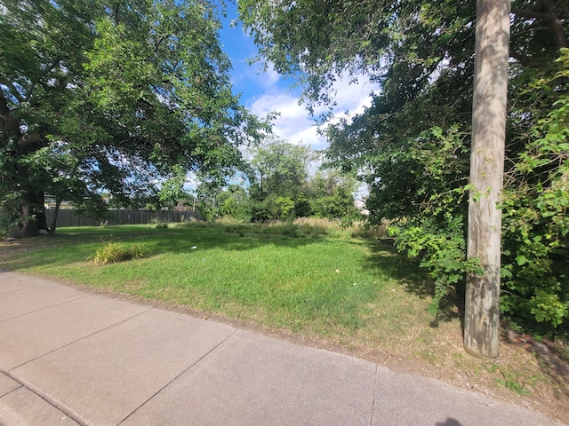 3520 Mount Elliott St, Detroit MI, 48207 land for sale