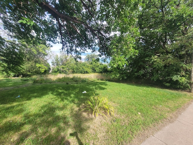 3520 Mount Elliott St, Detroit, MI 48207 - photo 3