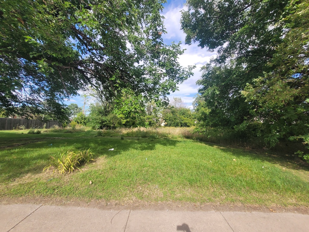 3520 Mount Elliott St, Detroit, MI 48207 - photo 2