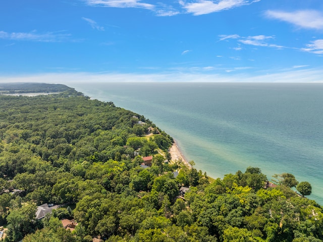 drone / aerial view with a view of trees and a water view