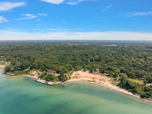 bird's eye view featuring a water view and a view of trees