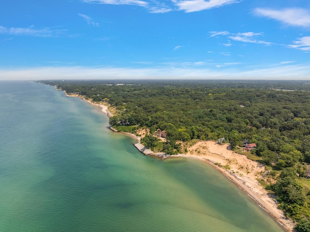 aerial view with a view of trees and a water view