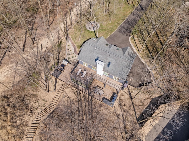 bird's eye view