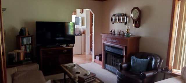 living room featuring a fireplace