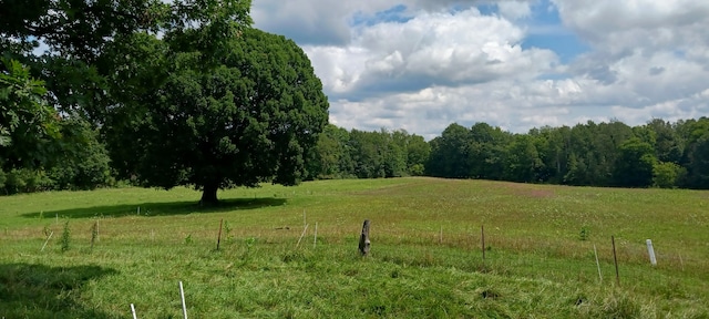 view of nature featuring a rural view