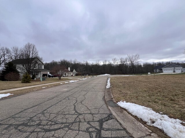00 Ruby Ct, Morrice, MI 48857
