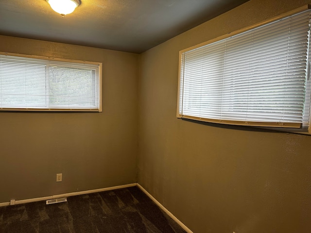 carpeted empty room featuring a healthy amount of sunlight