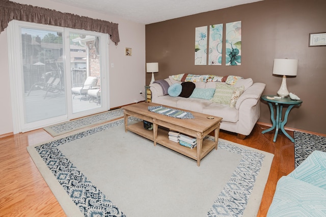 living room with hardwood / wood-style flooring