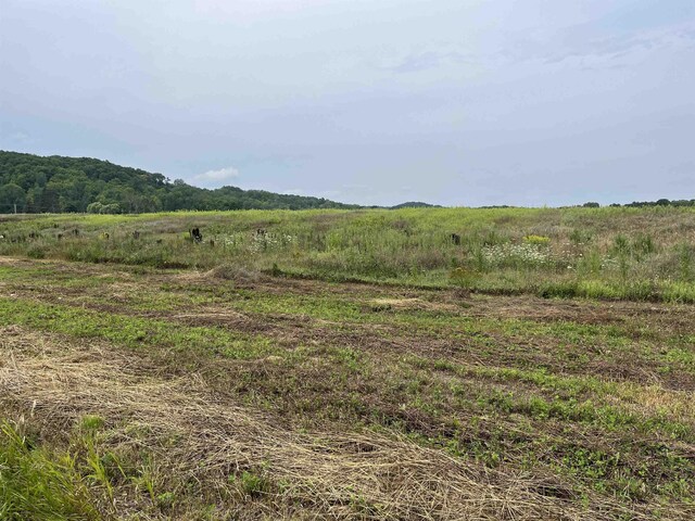 00 N M-88, Central Lake, MI 49622