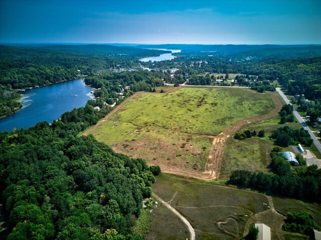 00 N M-88, Central Lake, MI 49622