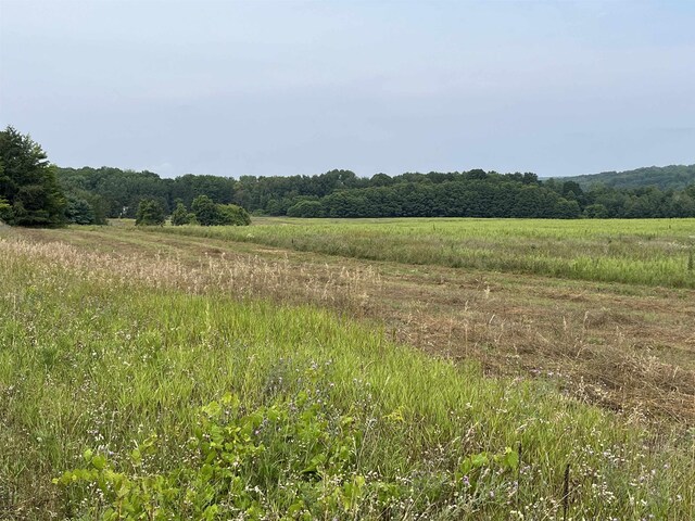 00 N M-88, Central Lake, MI 49622