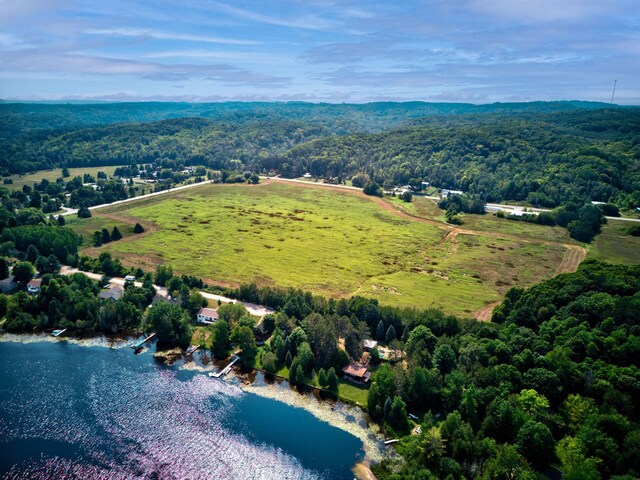 00 N M-88, Central Lake, MI 49622